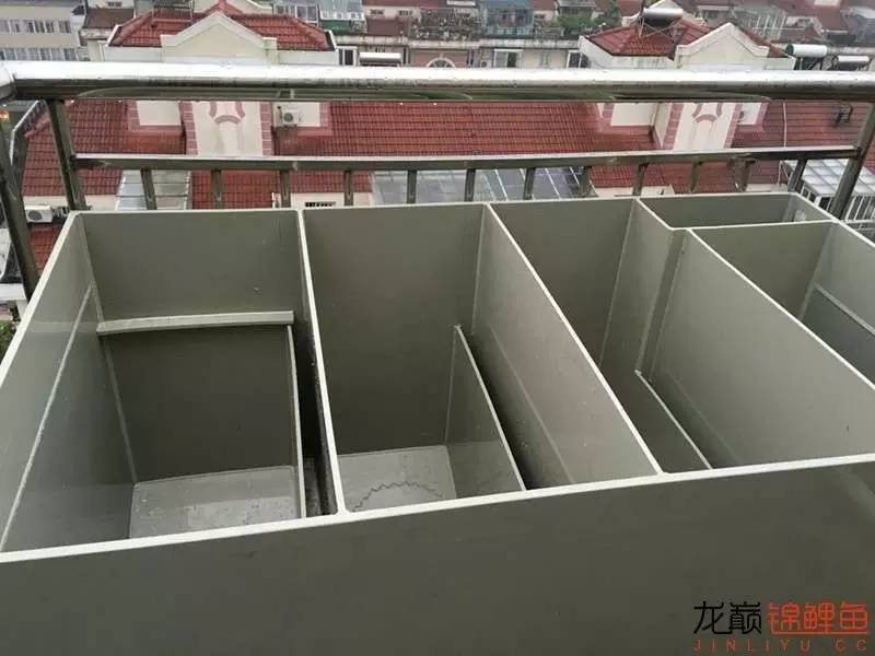 大型pp塑料锦鲤池,超大pp塑料锦鲤池