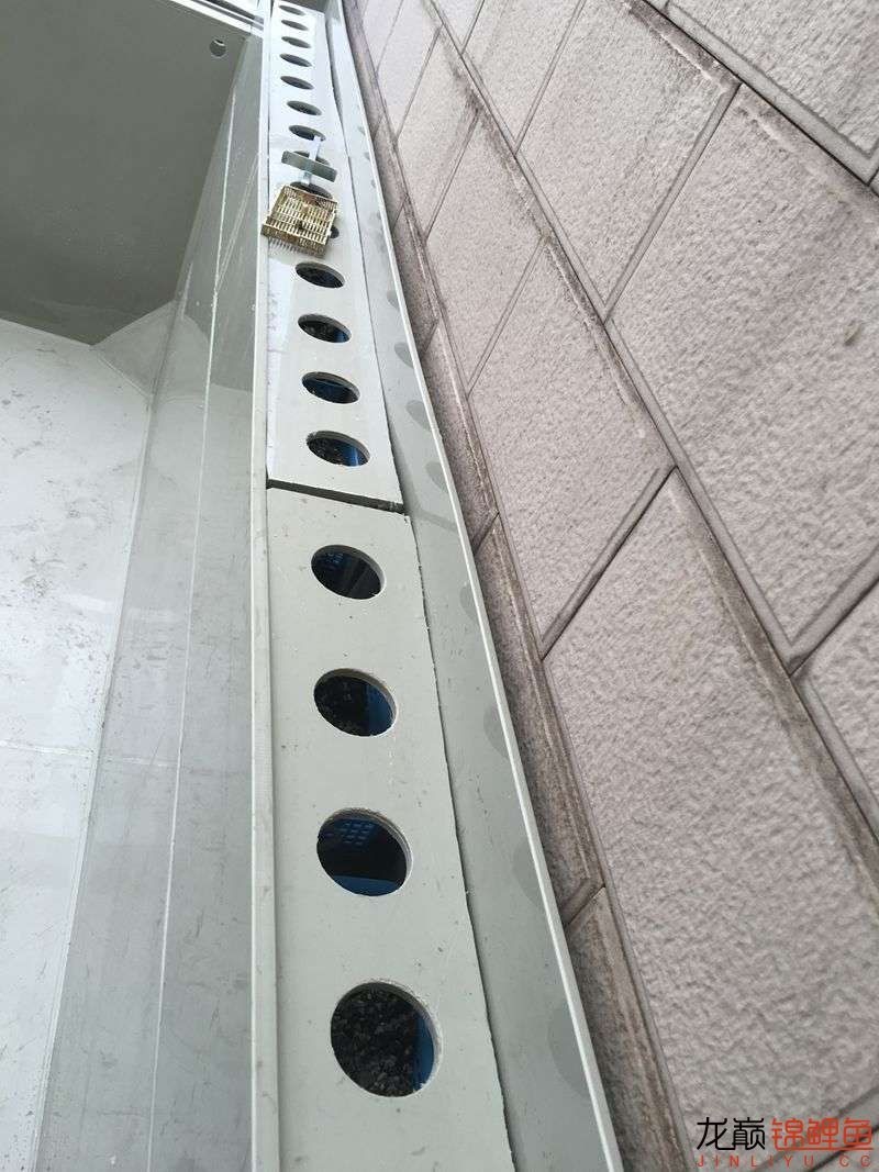 大型pp塑料锦鲤池,超大pp塑料锦鲤池