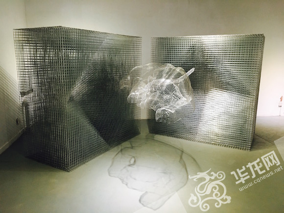 重庆一学院毕业服装秀惊艳亮相,重庆高校惊现梅花鹿