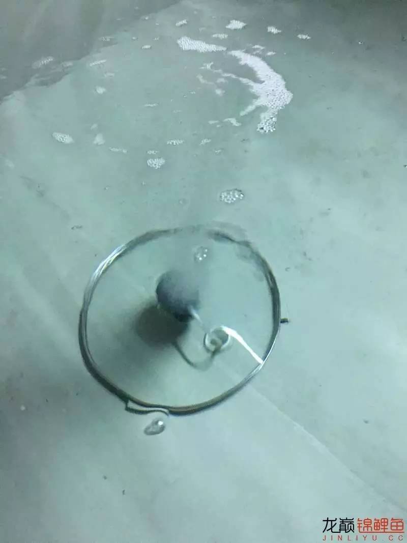 大型pp塑料锦鲤池,超大pp塑料锦鲤池