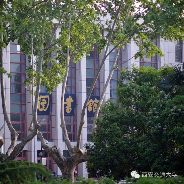 猴年马月最后一天视频,猴年马月有没有重逢的一天