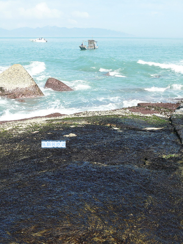 紫菜堪称海藻之王，但潮汕人为什么要说“浪险过打紫菜”呢？