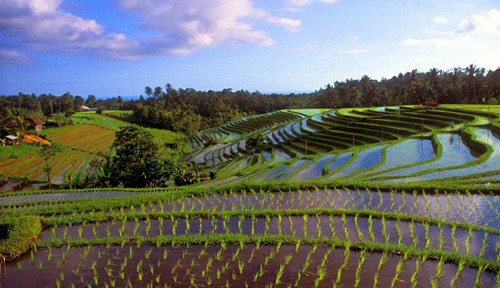 巴厘岛婚纱摄影旅游攻略,巴厘岛创意婚纱摄影大概多少钱