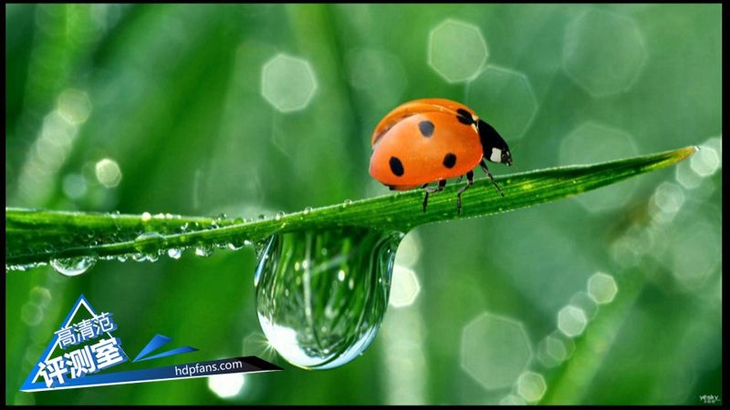 海美迪芒果嗨q2升级,海美迪芒果嗨q机顶盒