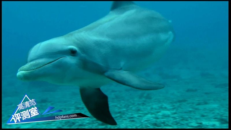 海美迪芒果嗨q2升级,海美迪芒果嗨q机顶盒