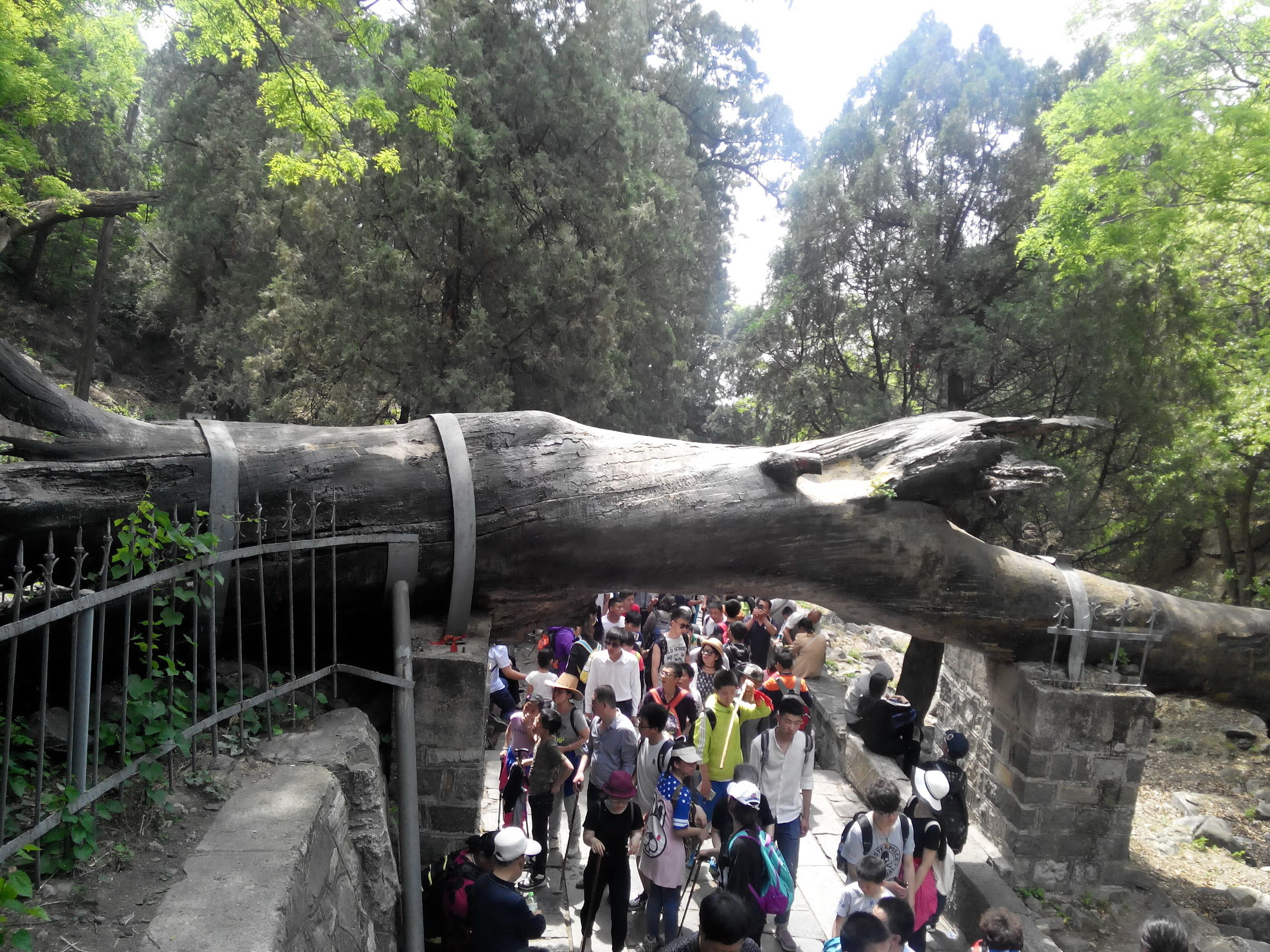 天津去泰山自由行攻略,天津泰山旅游攻略自助游