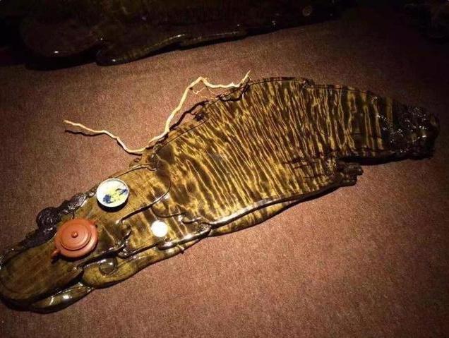 金丝楠阴沉木打捞上来含水分多少,金丝楠阴沉木挖出来怎么处理