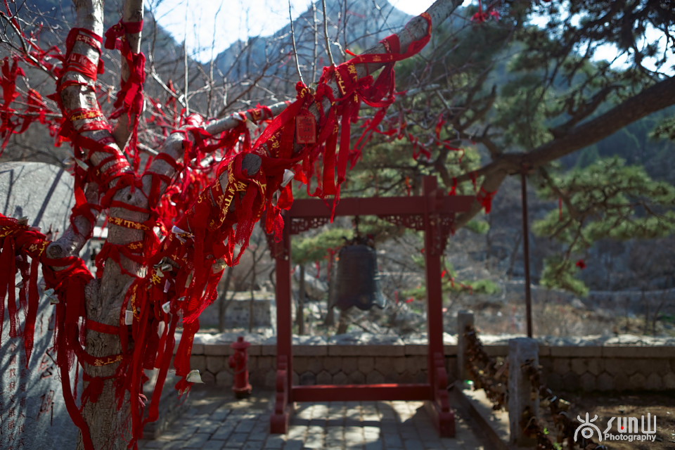 为什么古树都要拴红绳,往古树上拴红绳什么意思