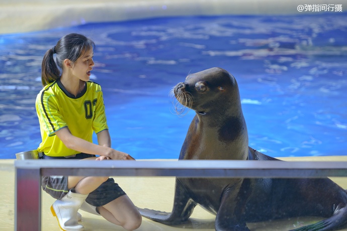 珠海长隆旅游攻略和住宿,珠海长隆周末有什么活动