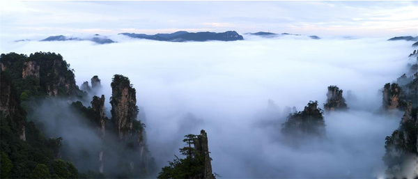 湖南张家界在哪个市,张家界风景区在哪