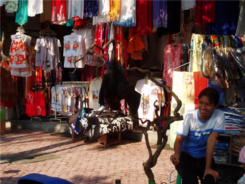 巴厘岛和我想象中的不一样,巴厘岛简直是人间天堂