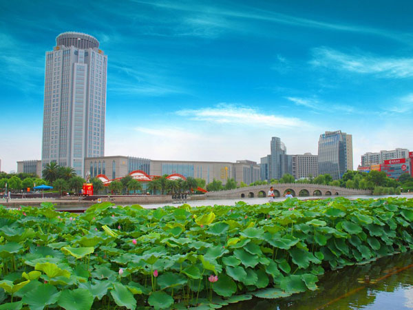 东莞面积最大的城市排名,东莞凭什么是全国最富的城市之一