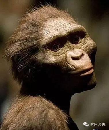 二十四节气配卦之——看云等雨的小满，加油哦！