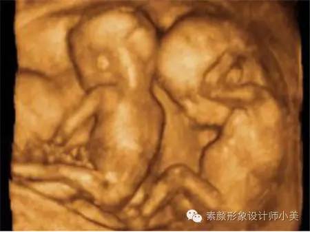 孕育课堂：怀孕二十三周胎儿发育与孕妈变化