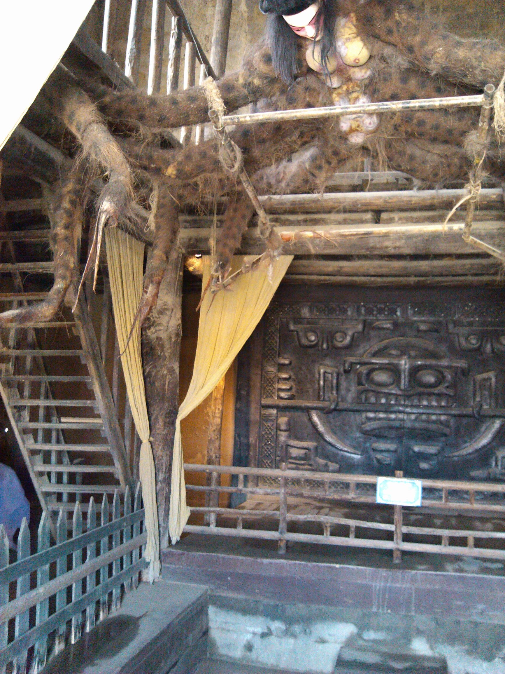 狂撒狗粮虐单身狗,银川精品一日游