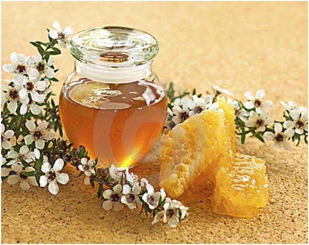 麦卢卡蜂蜜养胃的正确吃法,麦卢卡蜂蜜硬糖的正确吃法