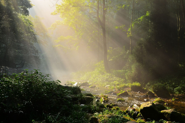 湖南张家界在哪个市,张家界风景区在哪