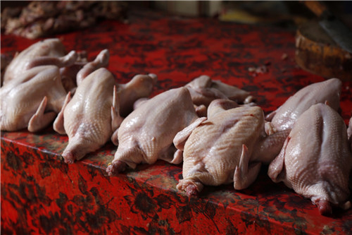 巴厘岛和我想象中的不一样,巴厘岛简直是人间天堂