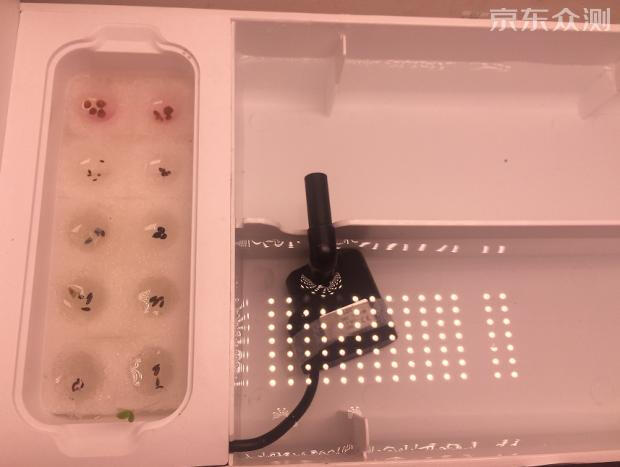 绿色环保农家小菜园,绿色无公害的自家小菜园