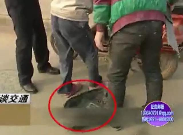 那个穿着制服、说着川普，却红到岛国的成都男子，原来是他！