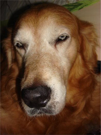 男生们怎么看待卫生巾,男性怎么看待卫生巾