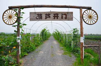 沈阳五一假期游乐场推荐,六一玩开心游乐园