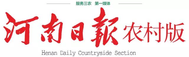 淇￠槼瑙嗙偣鍙ｄ护绾㈠寘鍙戞斁,淇￠槼瑙嗙偣绾㈠寘鎬庝箞棰嗗彇