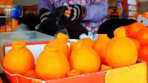 涨姿势｜端午节真的被韩国申遗了吗？