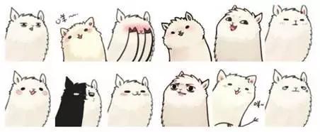 婚礼管理类app哪个好,小众婚礼app