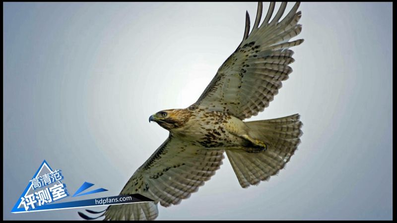 海美迪芒果嗨q2升级,海美迪芒果嗨q机顶盒