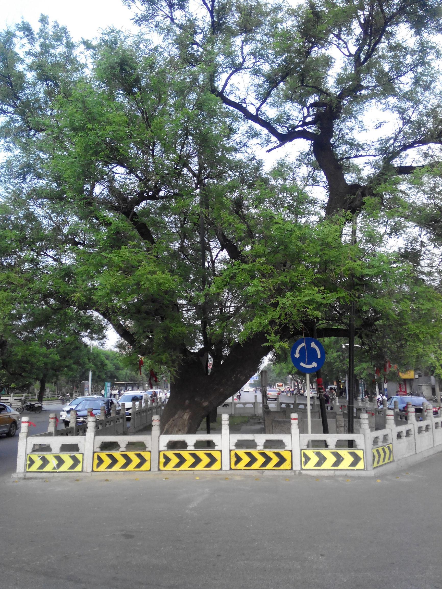 天津去泰山自由行攻略,天津泰山旅游攻略自助游