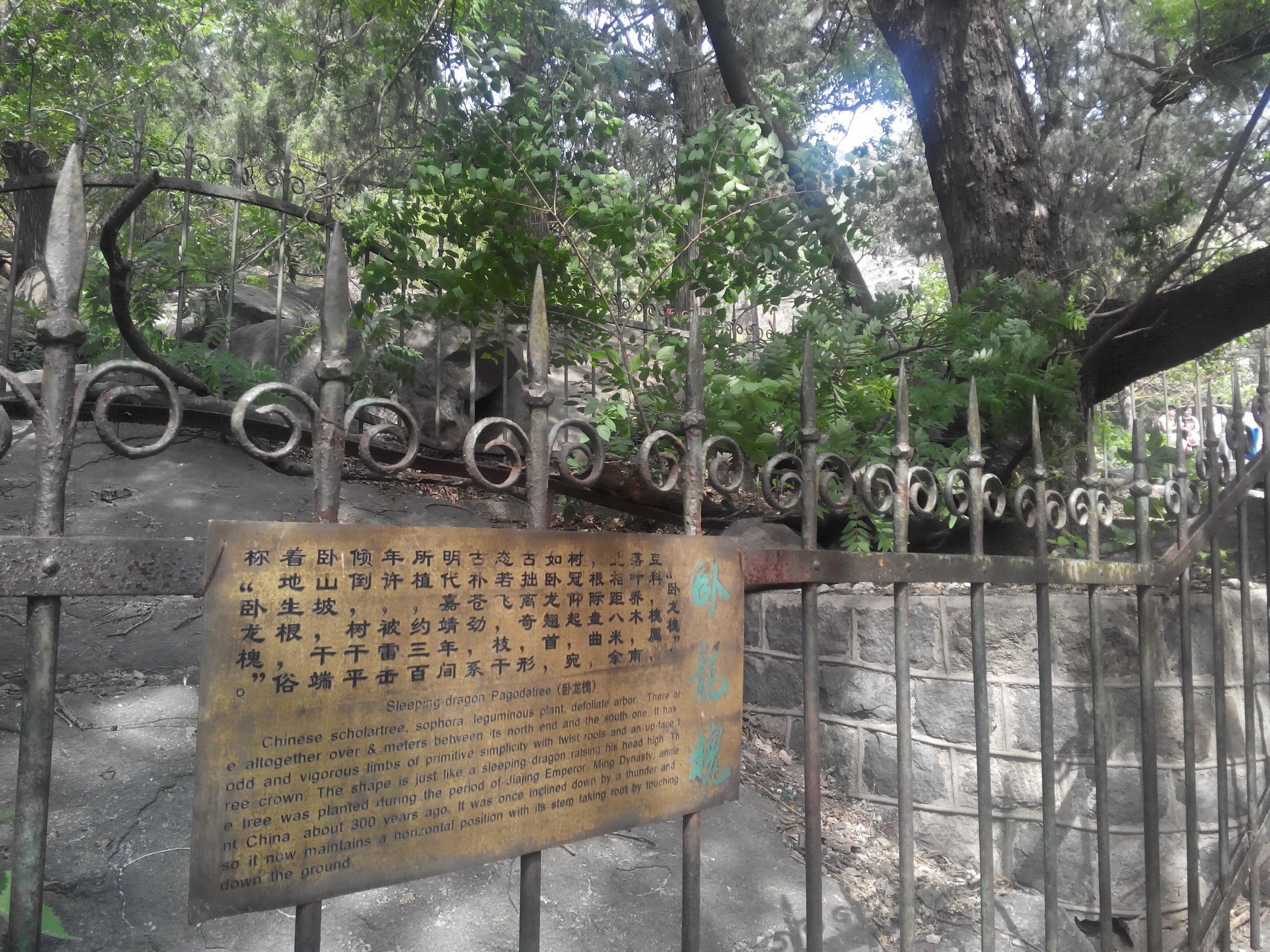 天津去泰山自由行攻略,天津泰山旅游攻略自助游