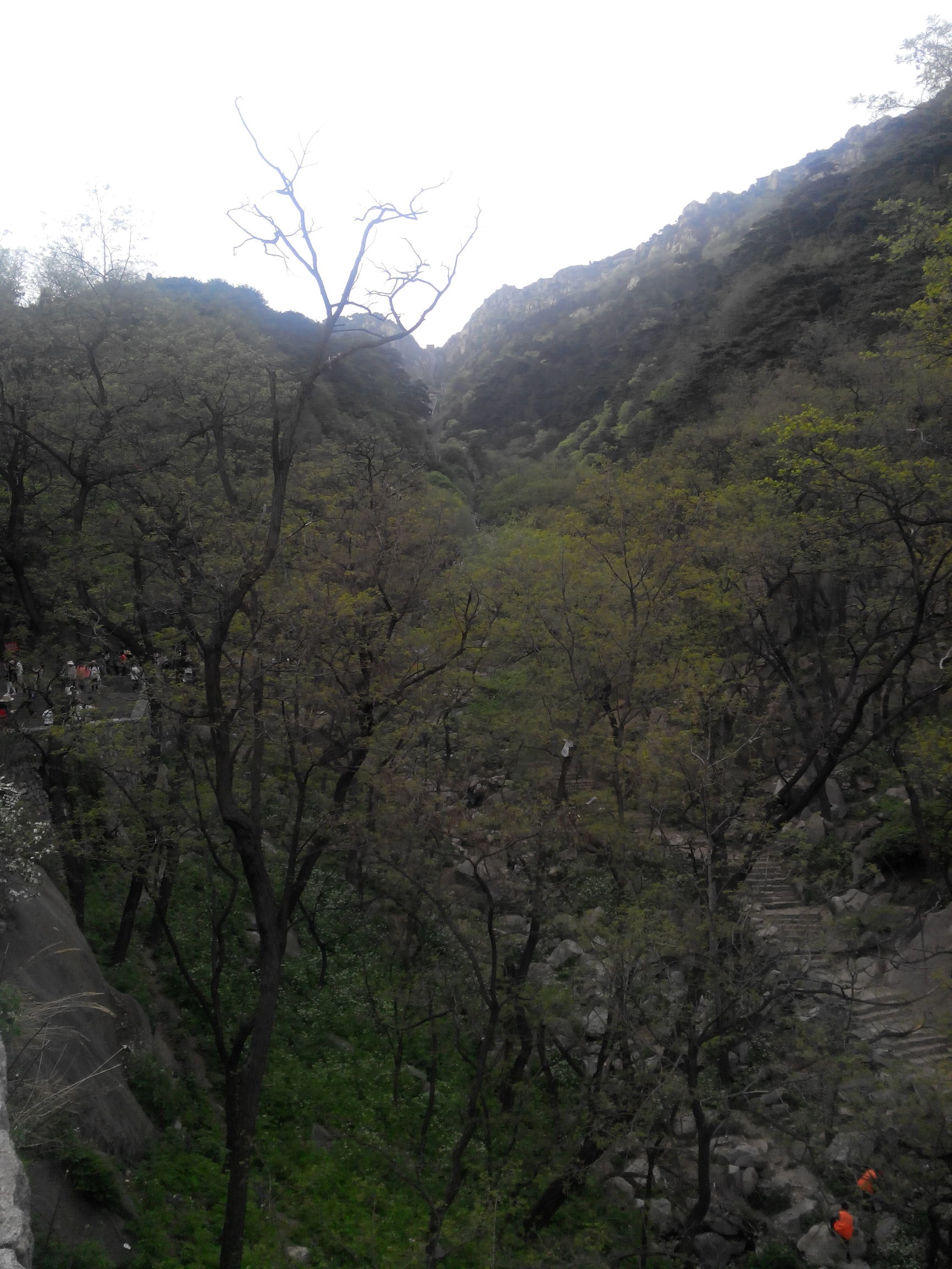 天津去泰山自由行攻略,天津泰山旅游攻略自助游