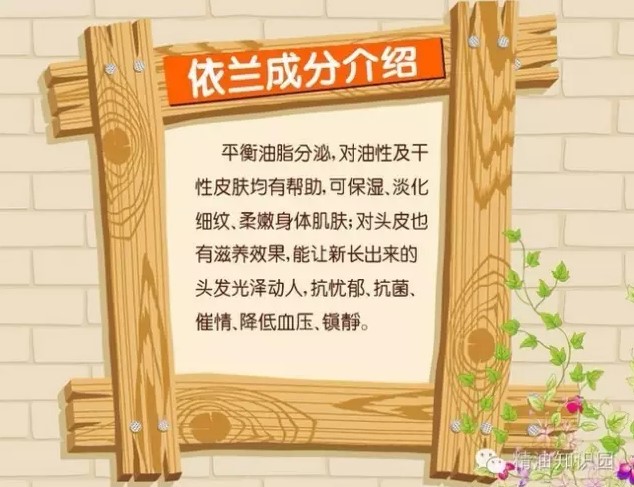 依兰精油对头发的功效与作用,依兰精油成分有哪些