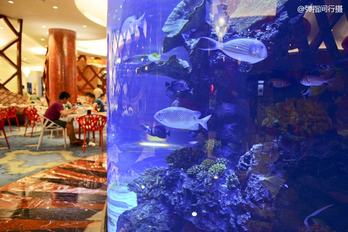 珠海长隆旅游攻略和住宿,珠海长隆周末有什么活动