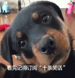 关于一树梨花压海棠的段子,一树梨花压海棠的经典诗句