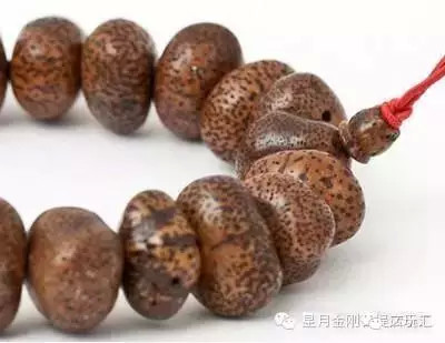 盘点星月菩提的十大问题建议收藏,星月菩提哪种可以玩得最长久