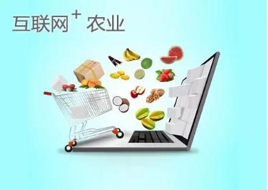 现在搞什么农业项目赚钱,农村现在搞什么农业赚钱