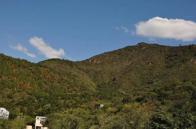 蟒山森林公园小东江,莽山森林公园萤火虫