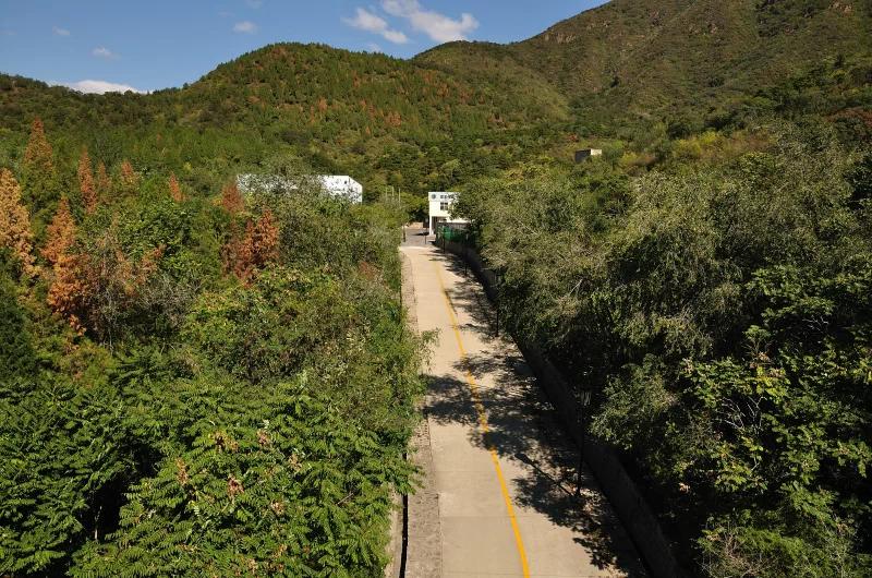 蟒山森林公园小东江,莽山森林公园萤火虫