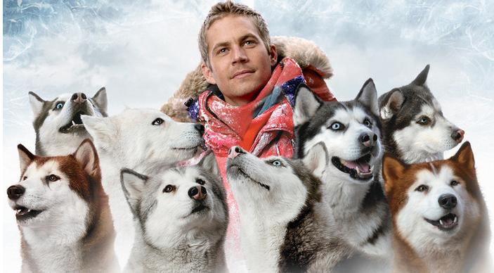 导盲犬小q动漫片影评,导盲犬小q电影总结