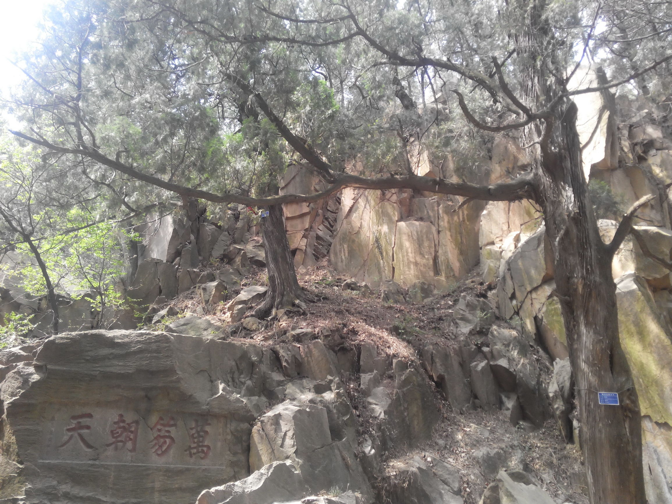 天津去泰山自由行攻略,天津泰山旅游攻略自助游