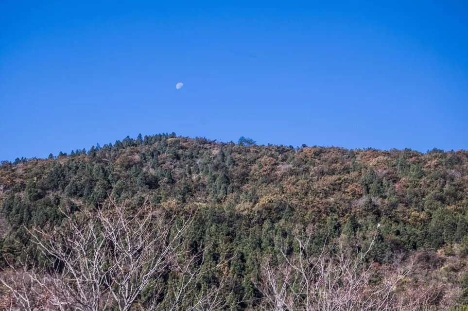 蟒山森林公园小东江,莽山森林公园萤火虫
