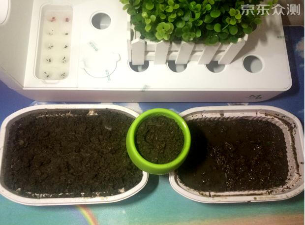 绿色环保农家小菜园,绿色无公害的自家小菜园