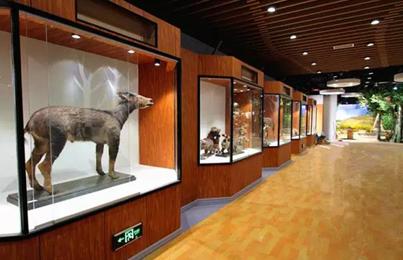 沈阳五一假期游乐场推荐,六一玩开心游乐园