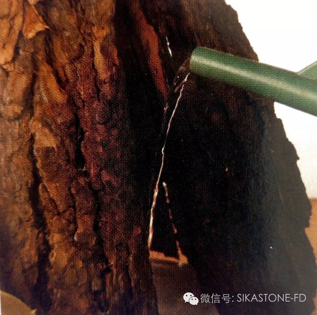 创意花艺教程简单易学,自然式花艺制作全过程