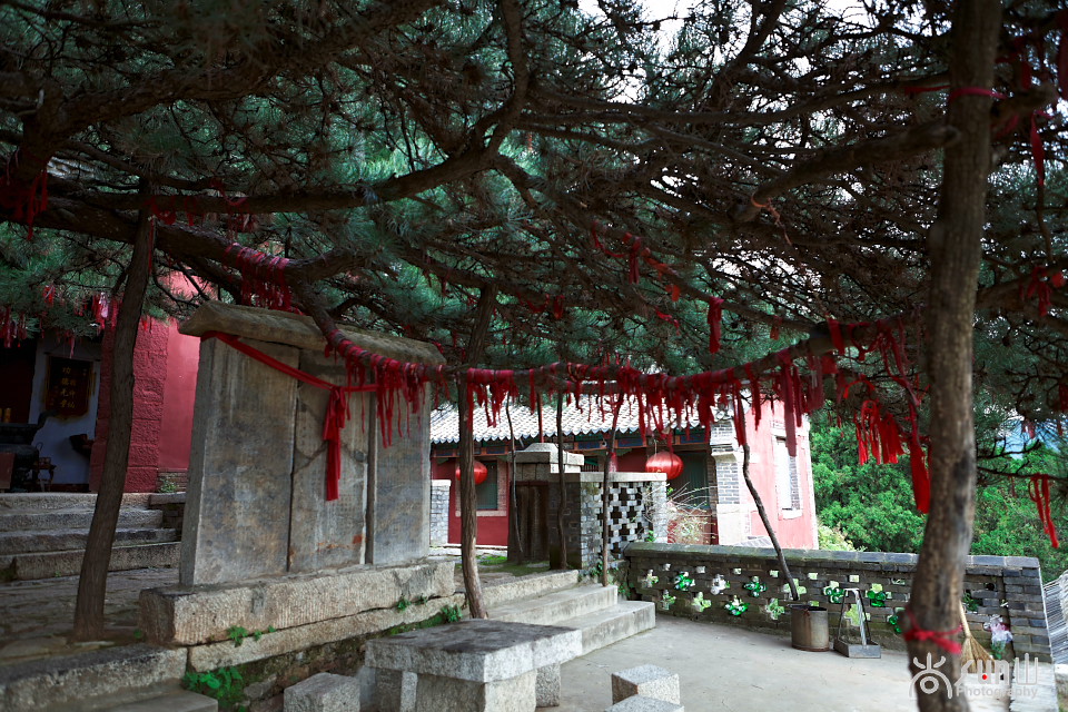 为什么古树都要拴红绳,往古树上拴红绳什么意思