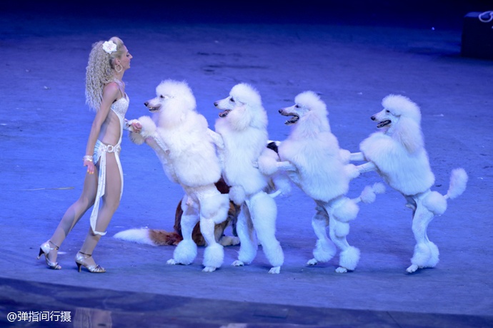 珠海长隆旅游攻略和住宿,珠海长隆周末有什么活动