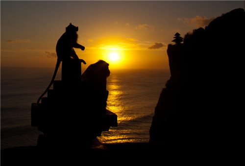 巴厘岛和我想象中的不一样,巴厘岛简直是人间天堂