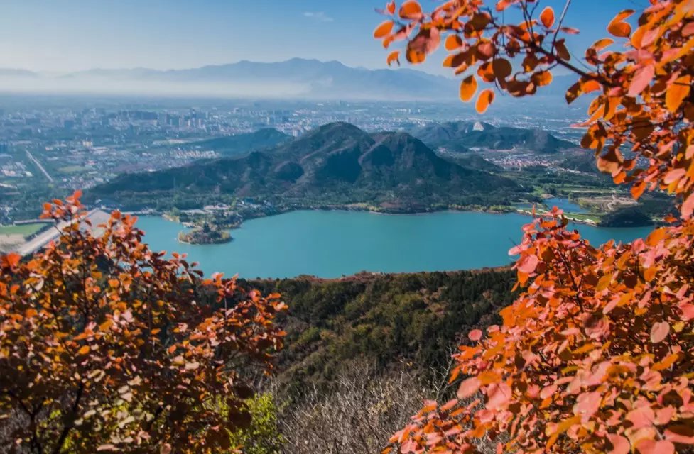 蟒山森林公园小东江,莽山森林公园萤火虫